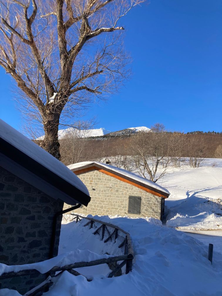11 vista dallingreesso del Cimone